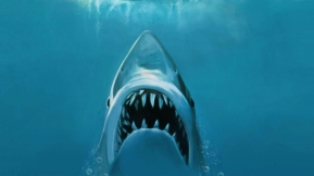 Jaws is no horror movie – it&#39;s actually a comedy&#39; - BBC Culture